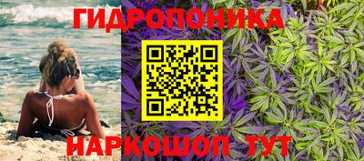 гидра Кандалакша