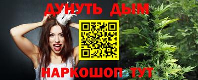 гидра Кандалакша