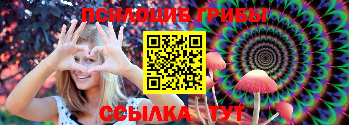 Галлюциногенные грибы MAGIC MUSHROOMS  Вход с VPN  Кулебаки  Галлюциногенные грибы мицелий 