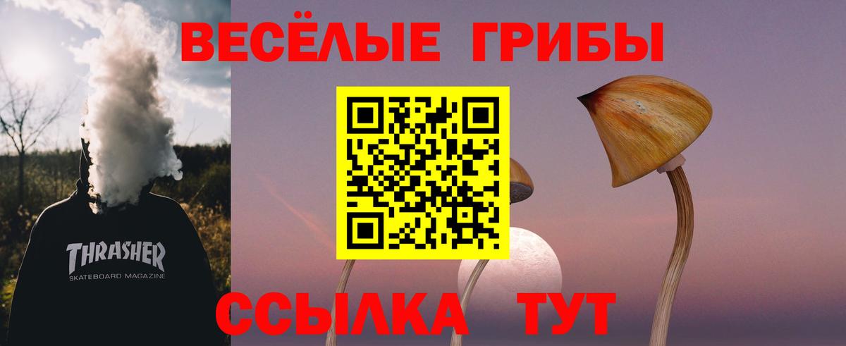 Галлюциногенные грибы Psilocybe Кулебаки
